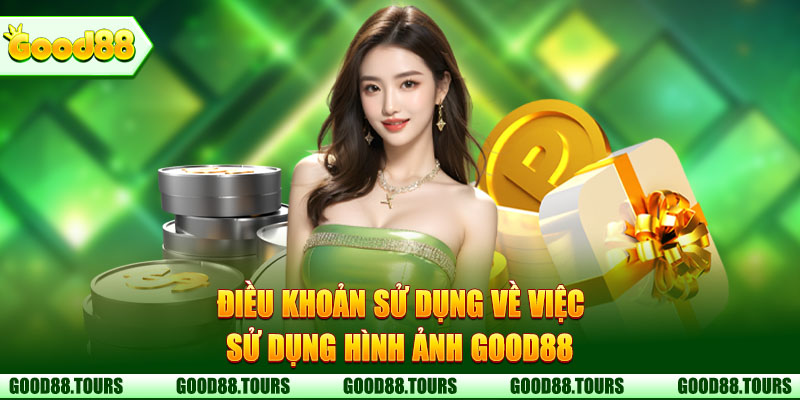 Điều khoản sử dụng hình ảnh nhà cái