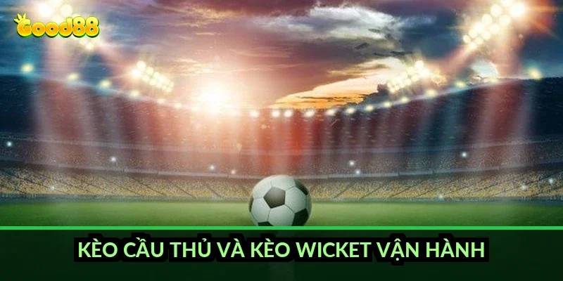 Cá cược cricket World Cup Good88: luật chơi và các nhóm kèo 6 Kèo cầu thủ và kèo wicket vận hành ra sao?